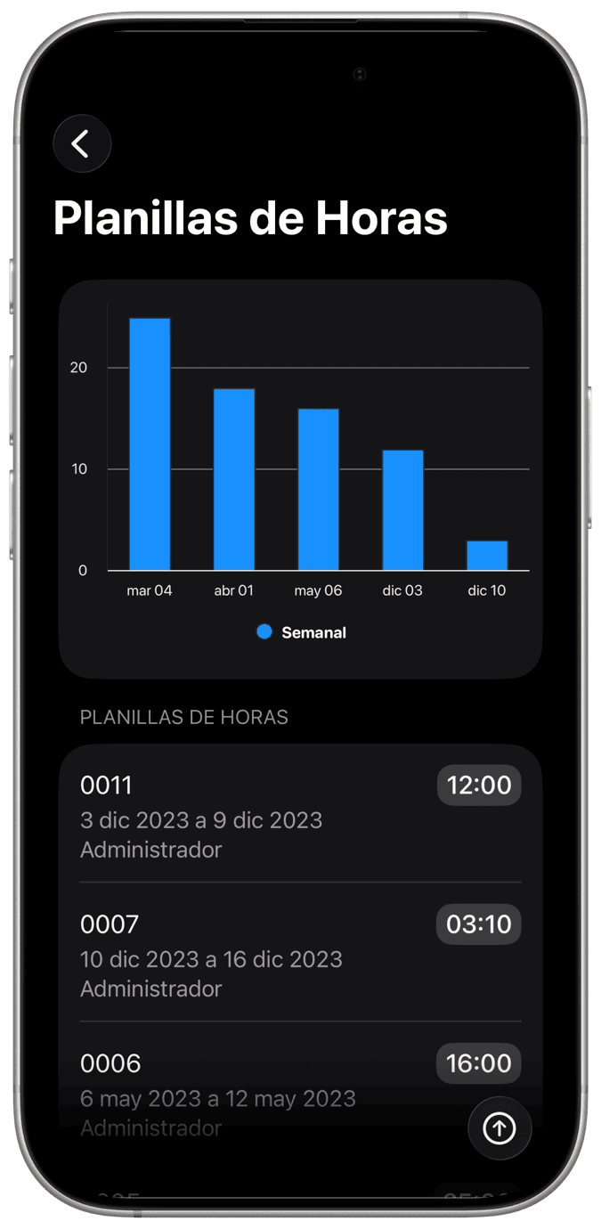 Ingreso de Horas