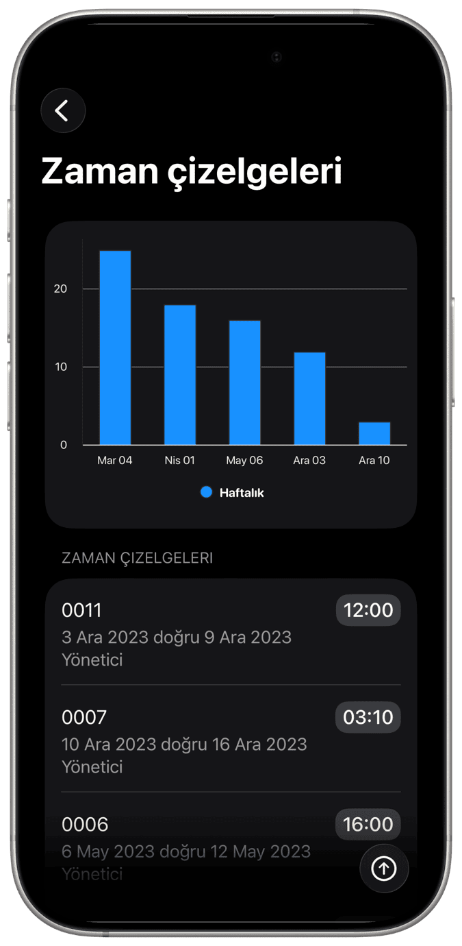 Zaman Girişi